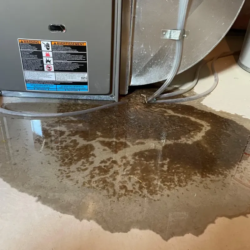 Appliance Leak Cleanup in Oregon County, MO