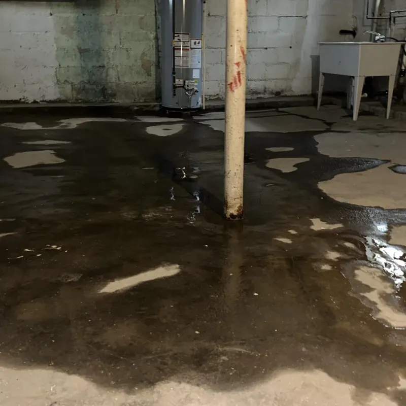 Emergency Water Extraction And Removal in Oregon County, MO